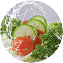 Ernährungstherapie und Mikrobiom Ernährungstherapie und Mikrobiom